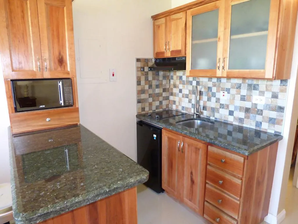 Beach Studio 30 Ocho Ríos Apartamento